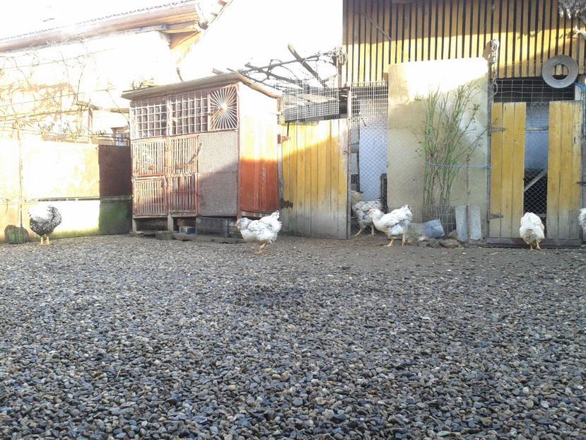  - 1 - MATCĂ I 2024 -