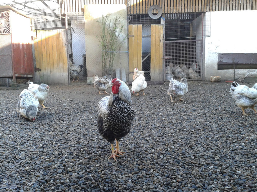  - 1 - MATCĂ I 2024 -