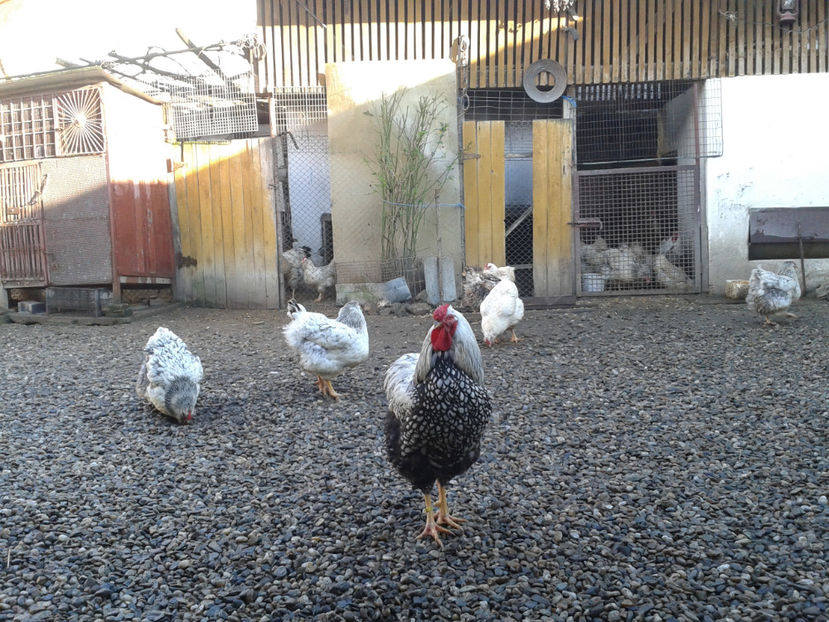  - 1 - MATCĂ I 2024 -