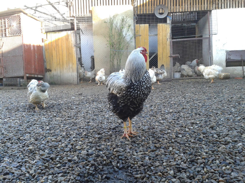  - 1 - MATCĂ I 2024 -