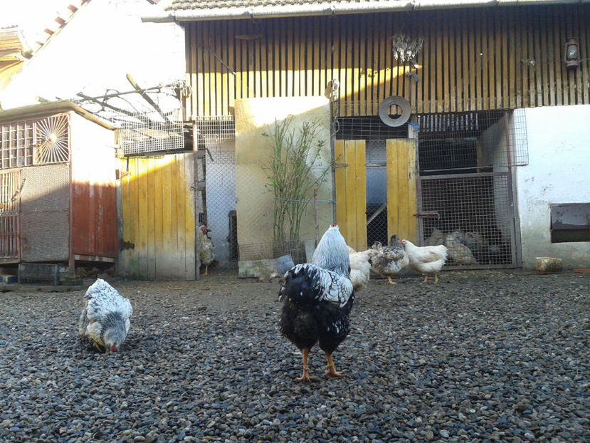  - 1 - MATCĂ I 2024 -