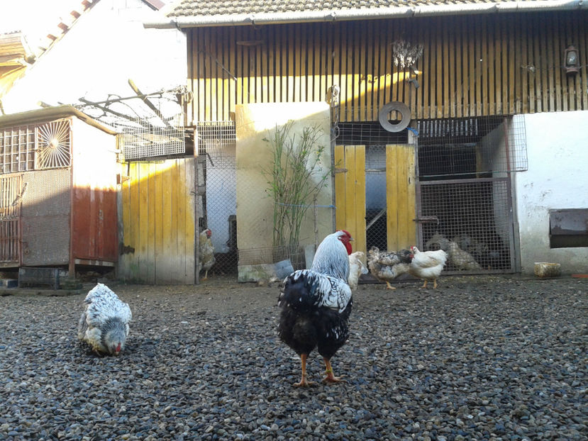  - 1 - MATCĂ I 2024 -