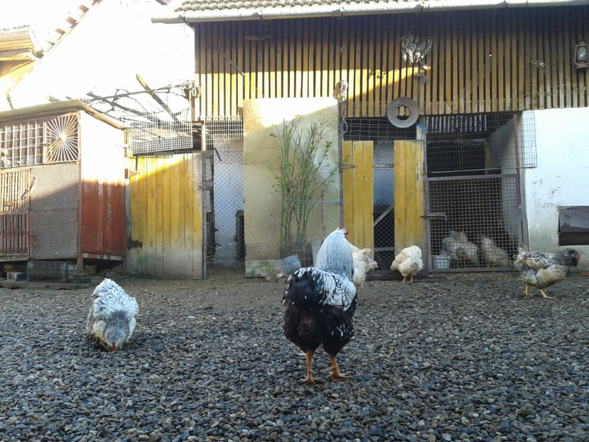  - 1 - MATCĂ I 2024 -