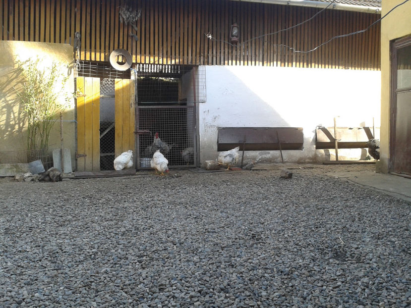 MATCĂ 1/ 2024 - 1 - MATCĂ I 2024 -