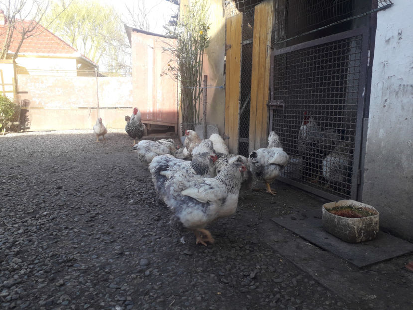  - 1 - MATCĂ I 2024 -