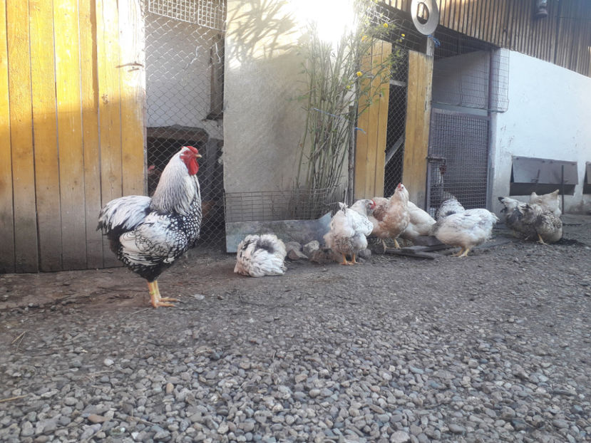  - 1 - MATCĂ I 2024 -