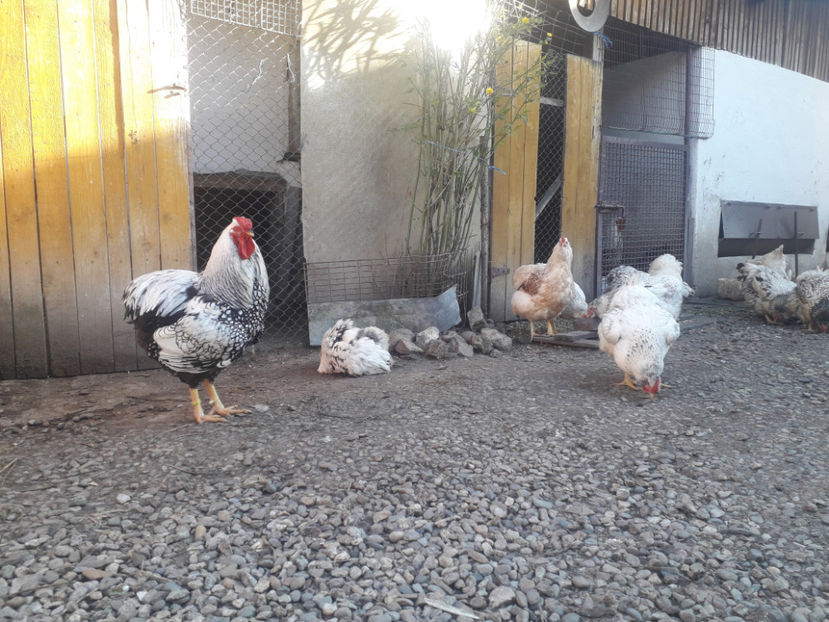  - 1 - MATCĂ I 2024 -