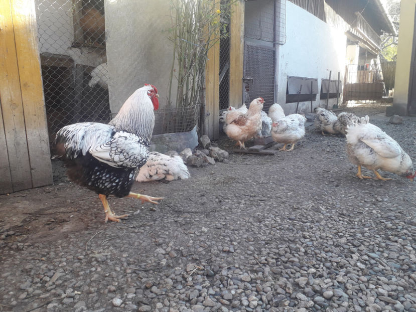 20240330_164840(0) - 1 - MATCĂ I 2024 -