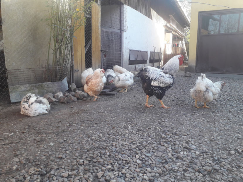  - 1 - MATCĂ I 2024 -