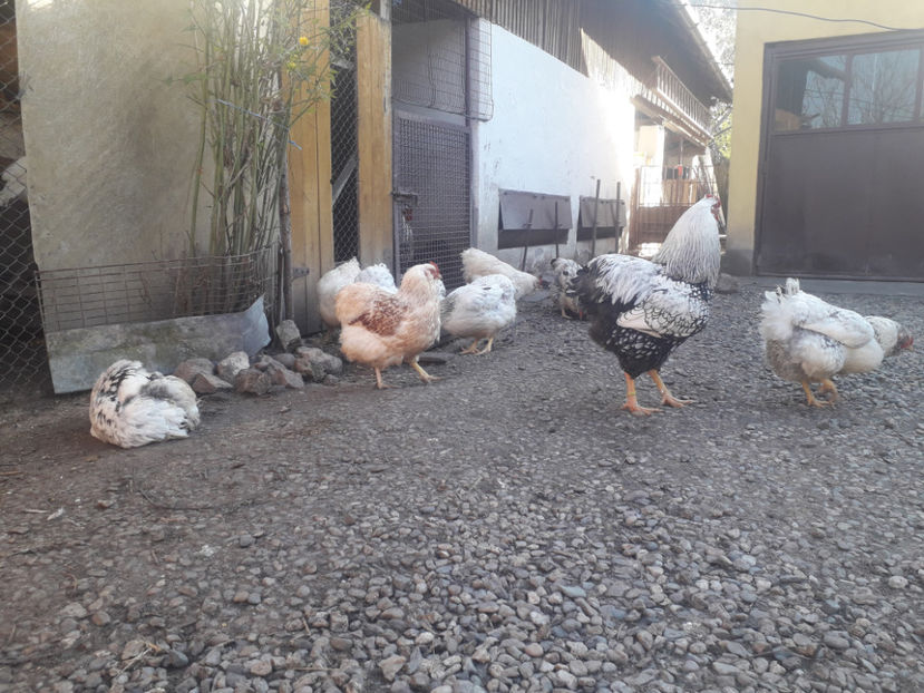  - 1 - MATCĂ I 2024 -