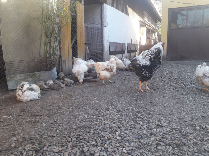  - 1 - MATCĂ I 2024 -