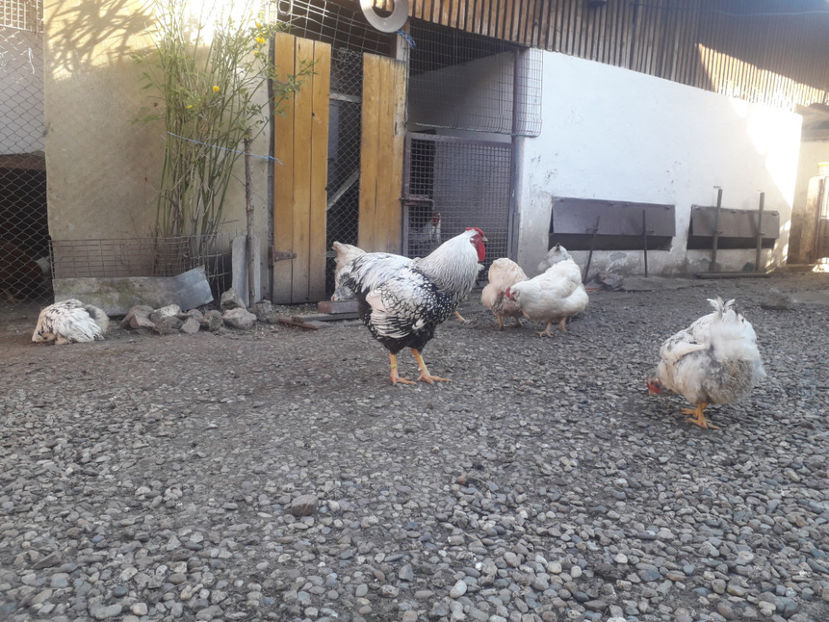  - 1 - MATCĂ I 2024 -