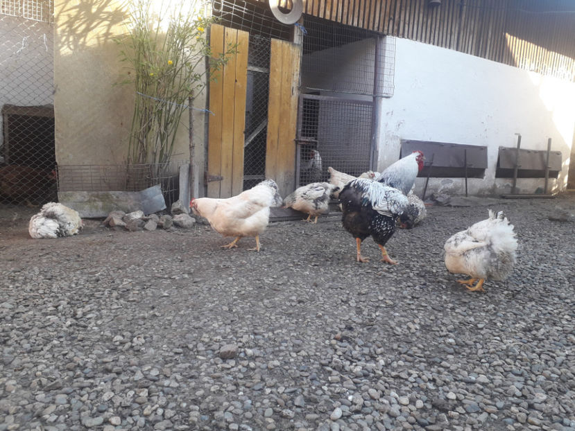  - 1 - MATCĂ I 2024 -