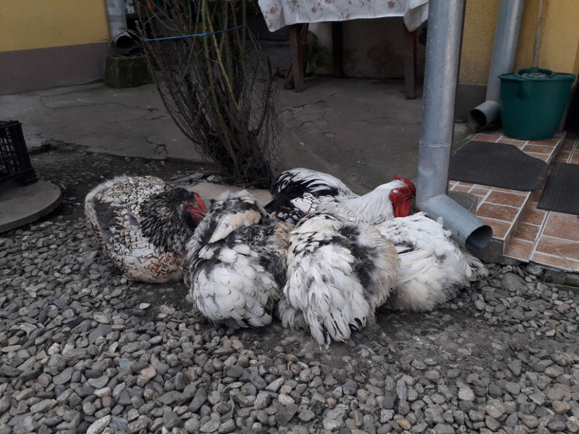  - 1 - MATCĂ I 2024 -
