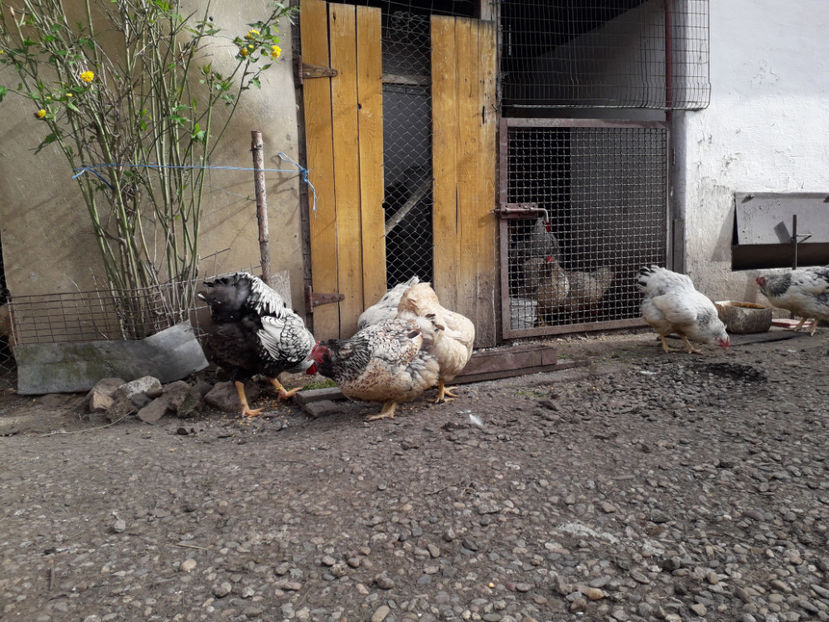  - 1 - MATCĂ I 2024 -