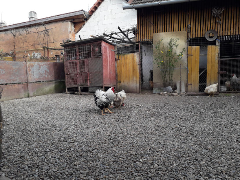  - 1 - MATCĂ I 2024 -