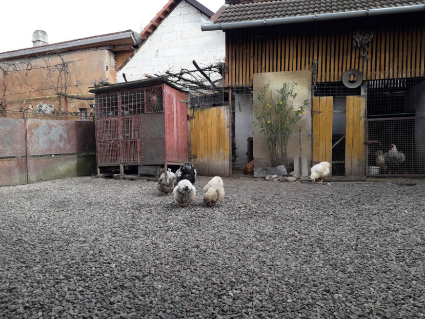  - 1 - MATCĂ I 2024 -