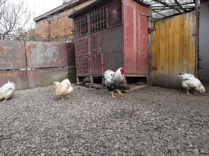  - 1 - MATCĂ I 2024 -