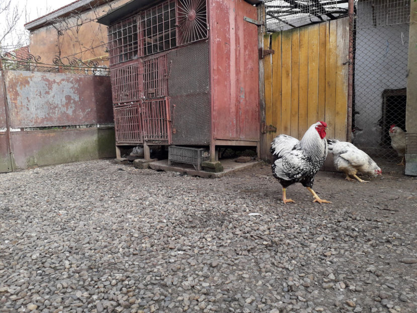  - 1 - MATCĂ I 2024 -