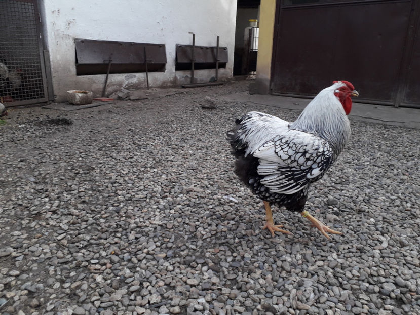  - 1 - MATCĂ I 2024 -