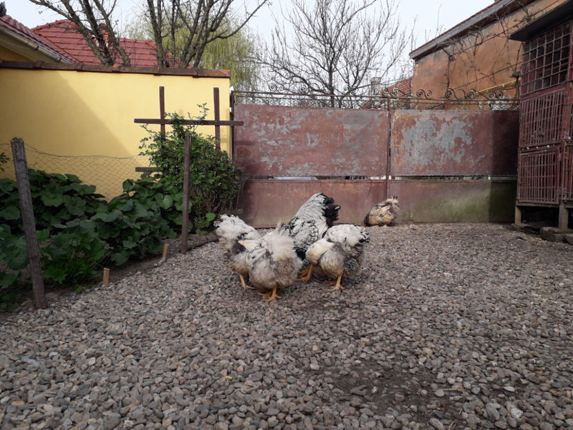  - 2 - MATCĂ I 2024 -