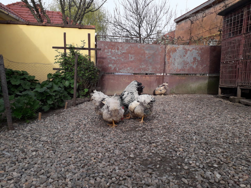  - 2 - MATCĂ I 2024 -