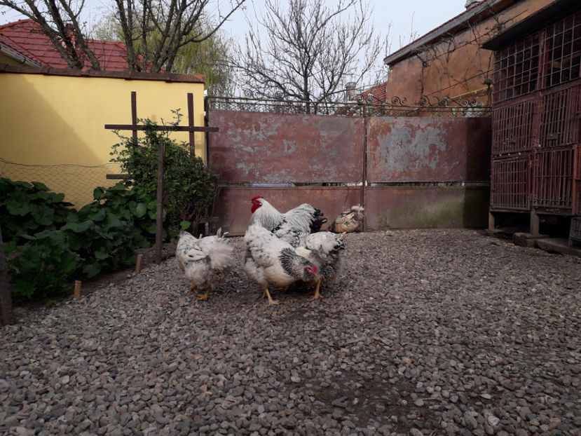  - 2 - MATCĂ I 2024 -