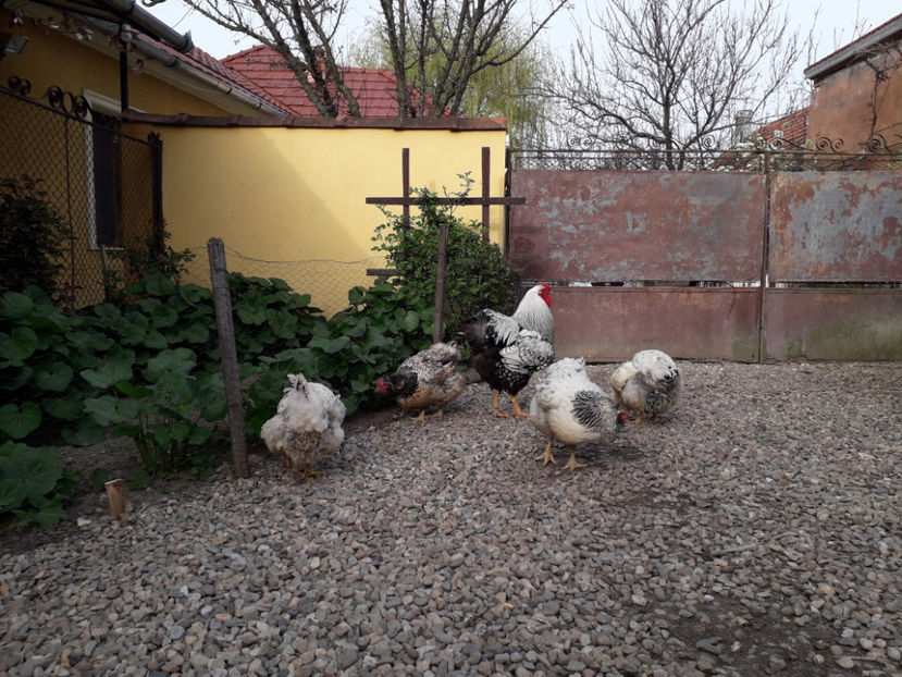  - 2 - MATCĂ I 2024 -