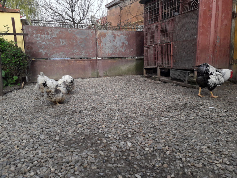  - 2 - MATCĂ I 2024 -