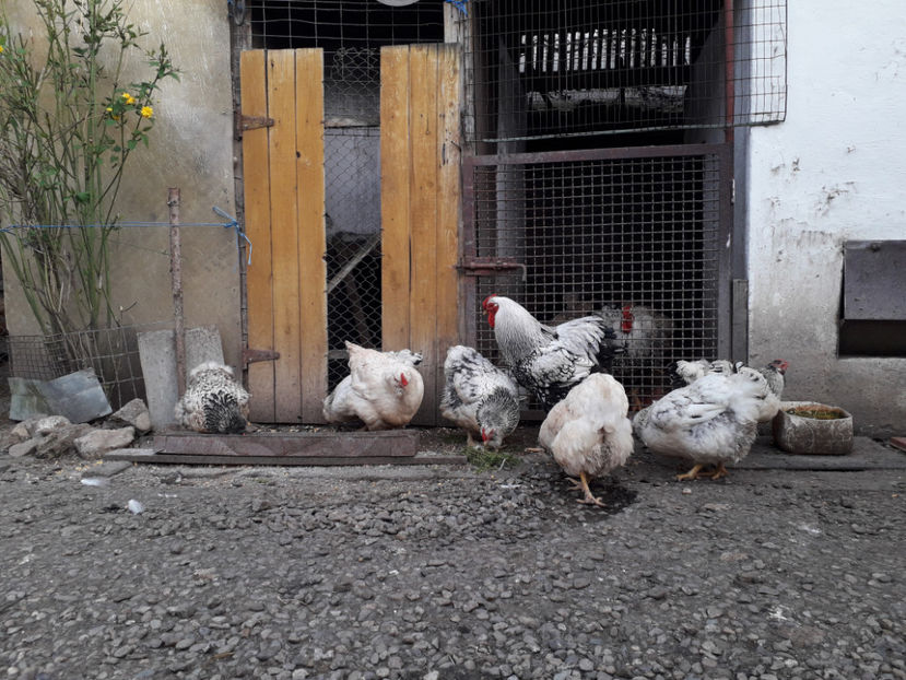  - 2 - MATCĂ I 2024 -