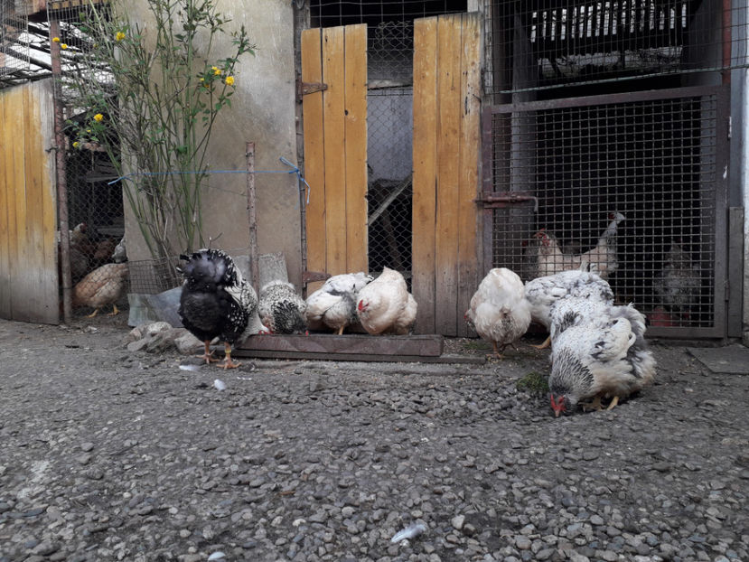  - 2 - MATCĂ I 2024 -