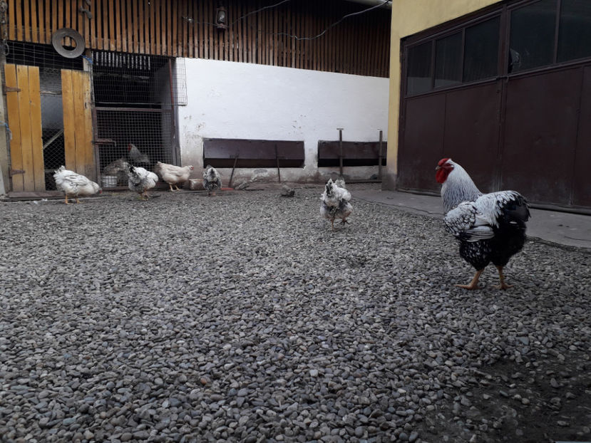  - 2 - MATCĂ I 2024 -