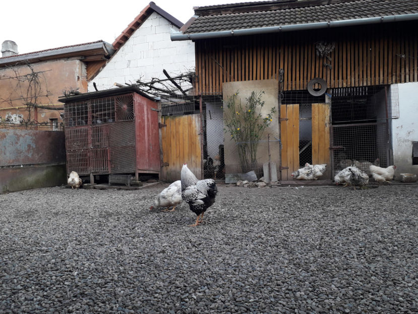  - 2 - MATCĂ I 2024 -