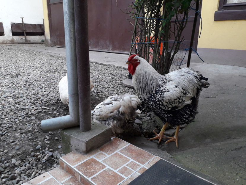  - 2 - MATCĂ I 2024 -