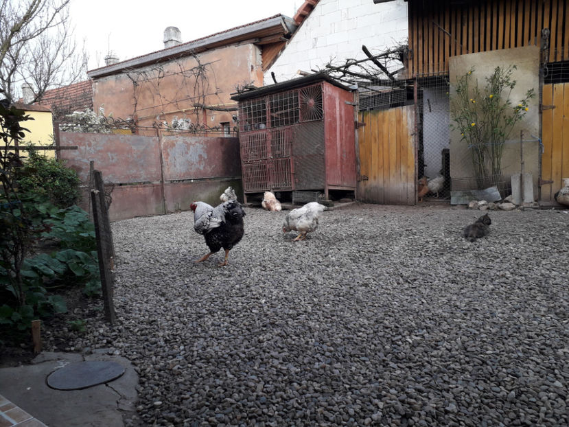  - 2 - MATCĂ I 2024 -