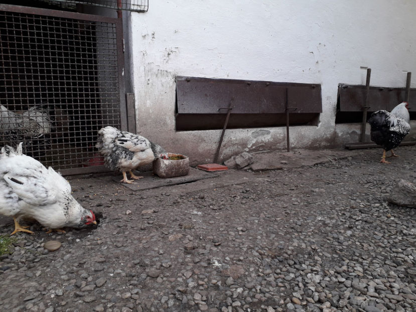  - 2 - MATCĂ I 2024 -