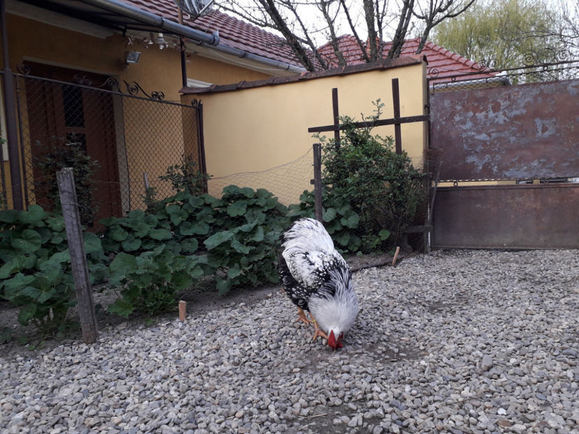  - 2 - MATCĂ I 2024 -