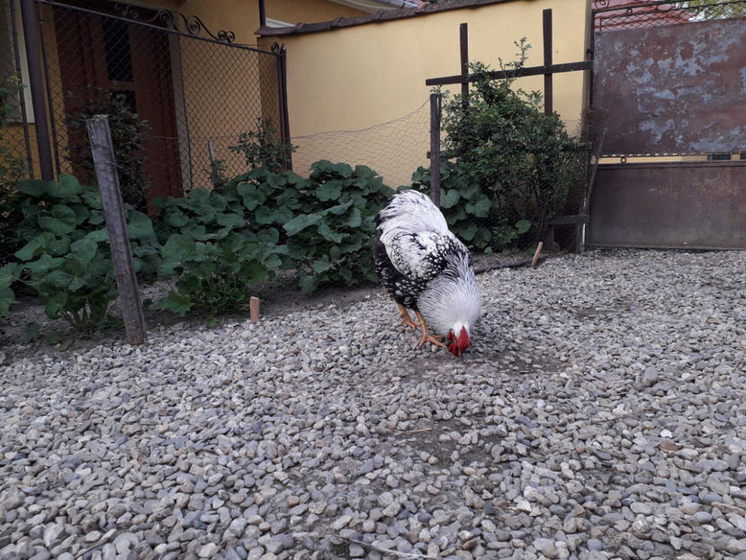  - 2 - MATCĂ I 2024 -