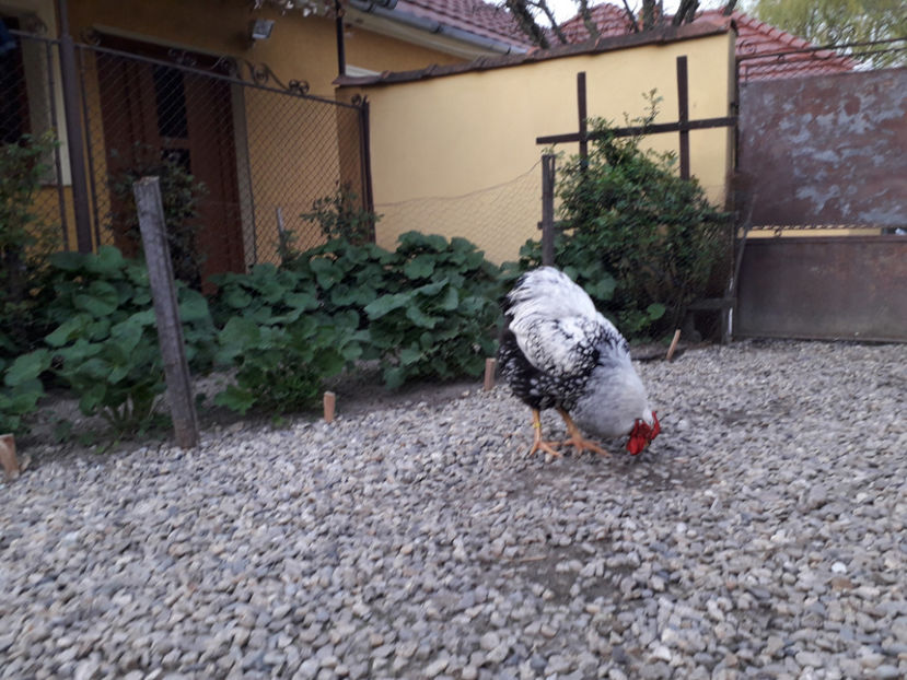  - 2 - MATCĂ I 2024 -