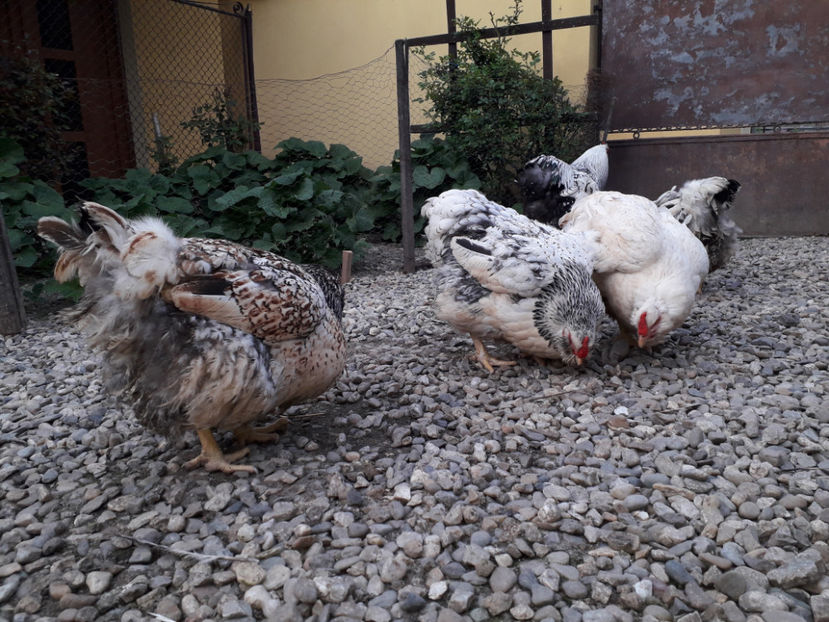  - 2 - MATCĂ I 2024 -