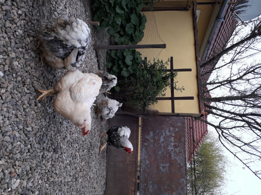  - 2 - MATCĂ I 2024 -