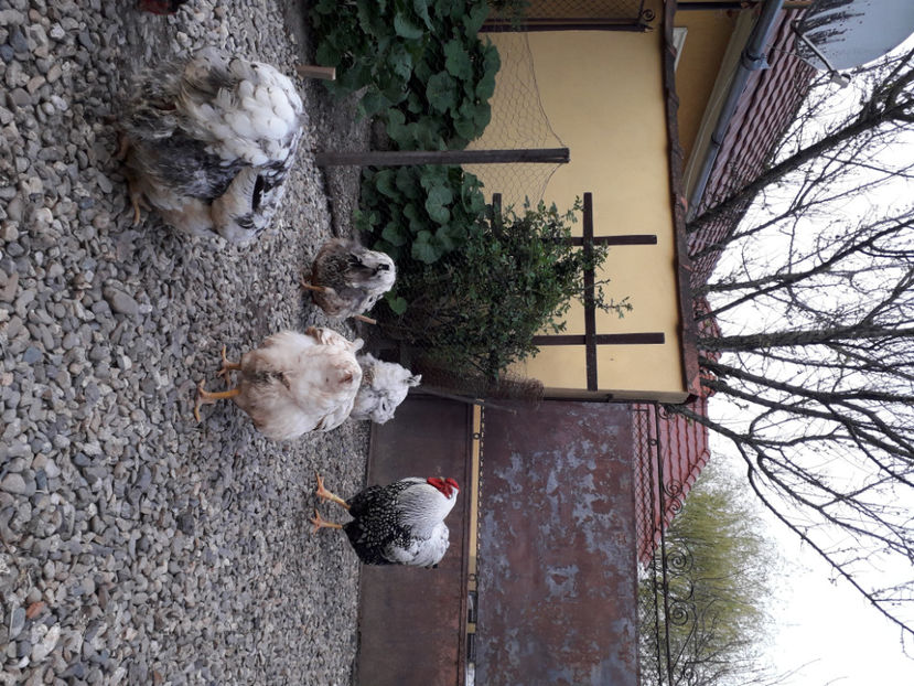  - 2 - MATCĂ I 2024 -