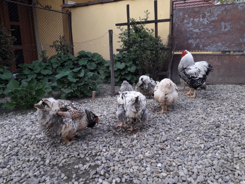  - 2 - MATCĂ I 2024 -