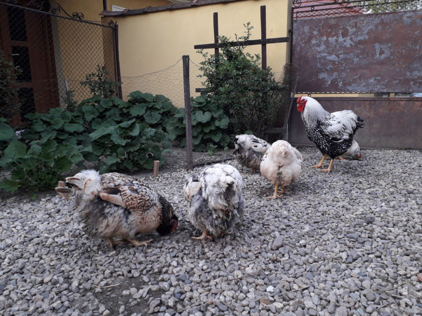  - 2 - MATCĂ I 2024 -