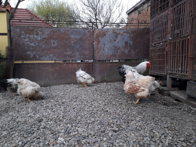  - 2 - MATCĂ I 2024 -