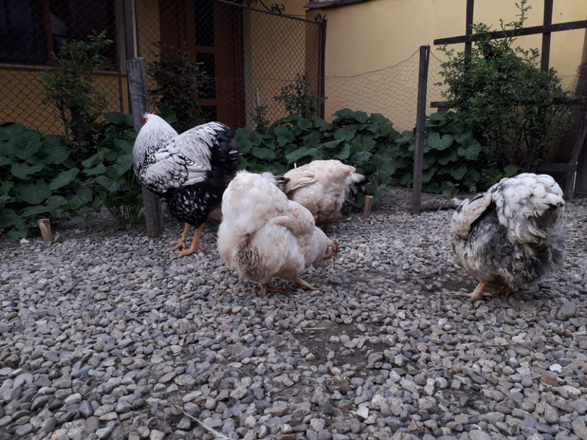  - 2 - MATCĂ I 2024 -