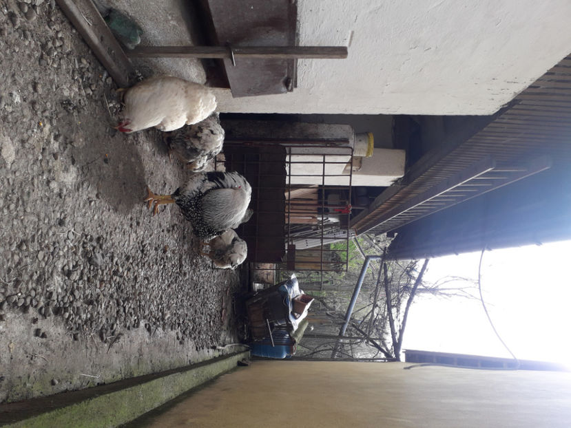  - 2 - MATCĂ I 2024 -