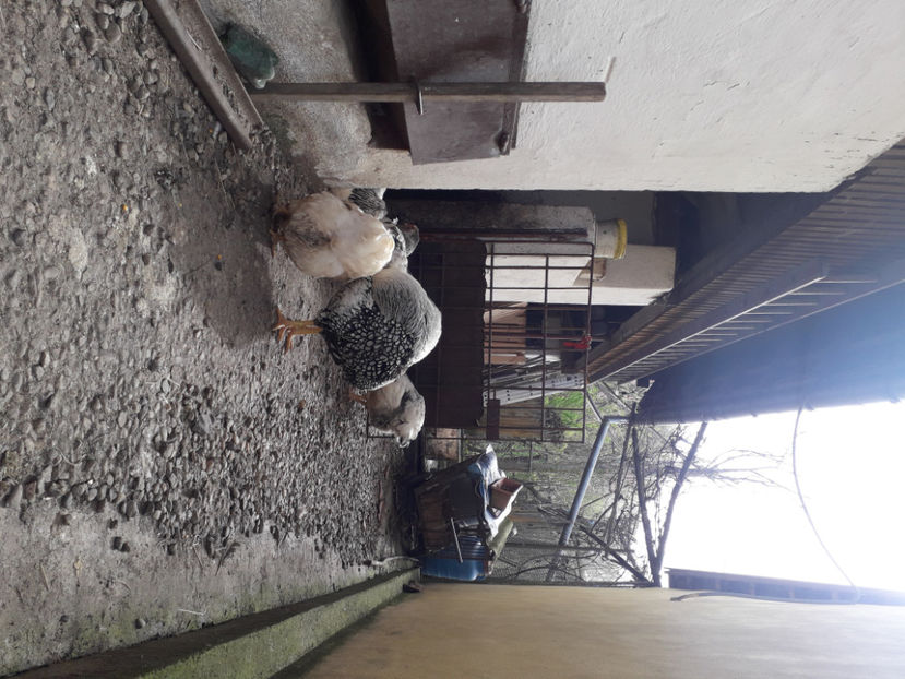  - 2 - MATCĂ I 2024 -