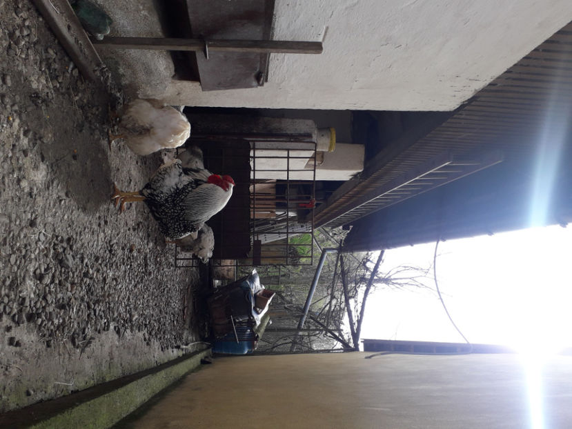  - 2 - MATCĂ I 2024 -