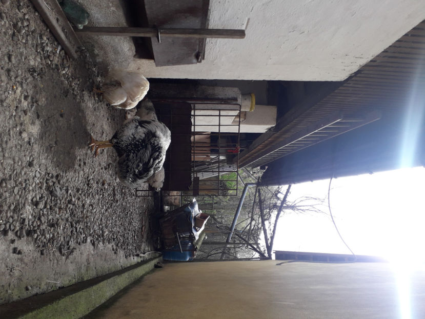  - 2 - MATCĂ I 2024 -